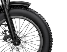 Laden Sie das Bild in den Galerie-Viewer, G-FORCE RE electric E-Bike fat bike