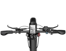 Laden Sie das Bild in den Galerie-Viewer, G-FORCE RE electric E-Bike fat bike
