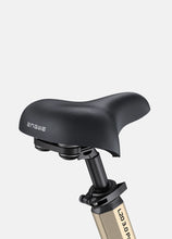 Cargar imagen en el visor de la galería, L20 3.0 Pro 250W Engwe Electric Bike | Ready to order and instock