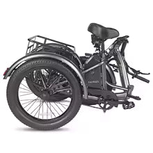 Laden Sie das Bild in den Galerie-Viewer, FAFREES F20 Mate Three Wheel Electric Cargo Bike