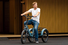 Laden Sie das Bild in den Galerie-Viewer, FAFREES F20 Mate Three Wheel Electric Cargo Bike