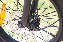 Load image into Gallery viewer, fat wheel electric bike 750W