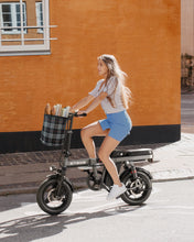 Laden Sie das Bild in den Galerie-Viewer, Engwe T14 250W foldable Electric Bike

