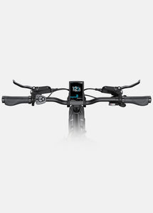 L20 3.0 Pro 250W Engwe Electric Bike | PRE ORDER NOW!