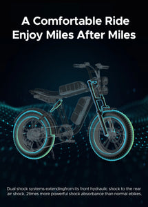 Engwe M20 fat tire electric bike single battery