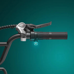 Engwe L20 Boost Electric Bike | Pre order now!