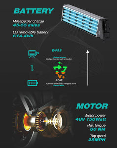 Engine Pro (Upgraded Version) 1000W peak motor