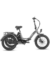 Laden Sie das Bild in den Galerie-Viewer, FAFREES F20 Mate Three Wheel Electric Cargo Bike
