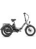 FAFREES F20 Mate Three Wheel Electric Cargo Bike