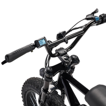 Load image into Gallery viewer, SWFT ZIP M20X 500W 48V 20″ Fat Tire Electric Bike
