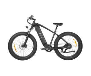 DYU King 750 Mountain E-Bike