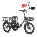 Load image into Gallery viewer, FAFREES F20 Mate Three Wheel Electric Cargo Bike
