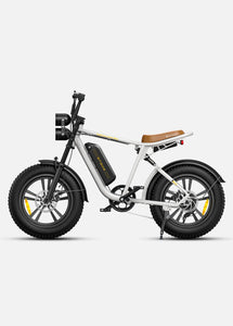 Engwe M20 fat tire electric bike single battery