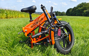 Engwe EP-2 PRO Fat Wheel Electric bike
